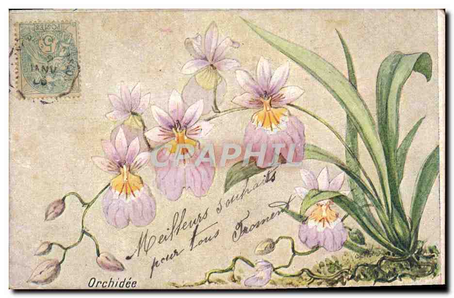 CPA Fantaisie Illustrateur Fleurs 
