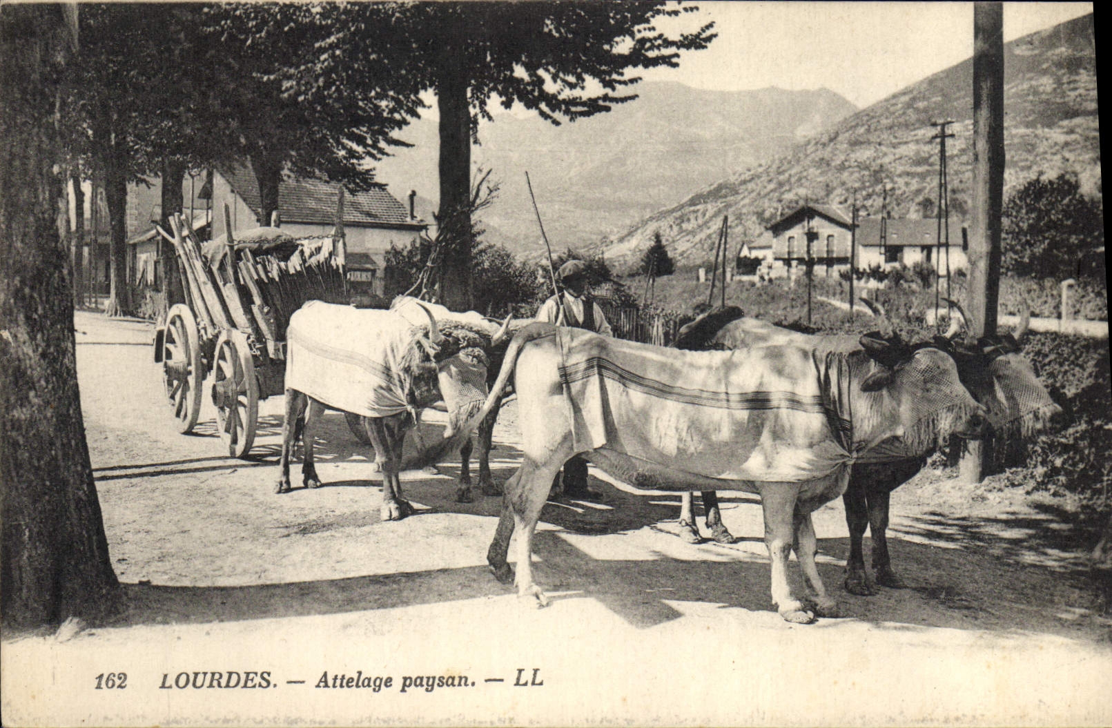 CPA Attelage paysan Lourdes 