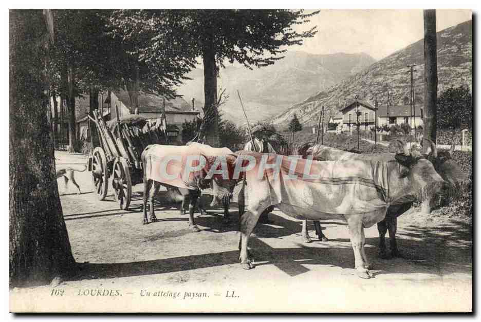 CPA Attelage Lourdes Un attelage paysan Boaufs 