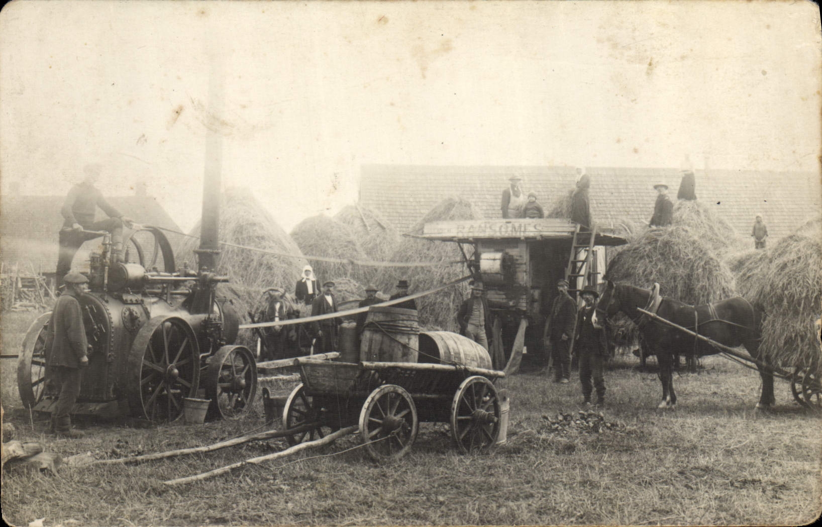 CARTE PHOTO Locomobile Cheval