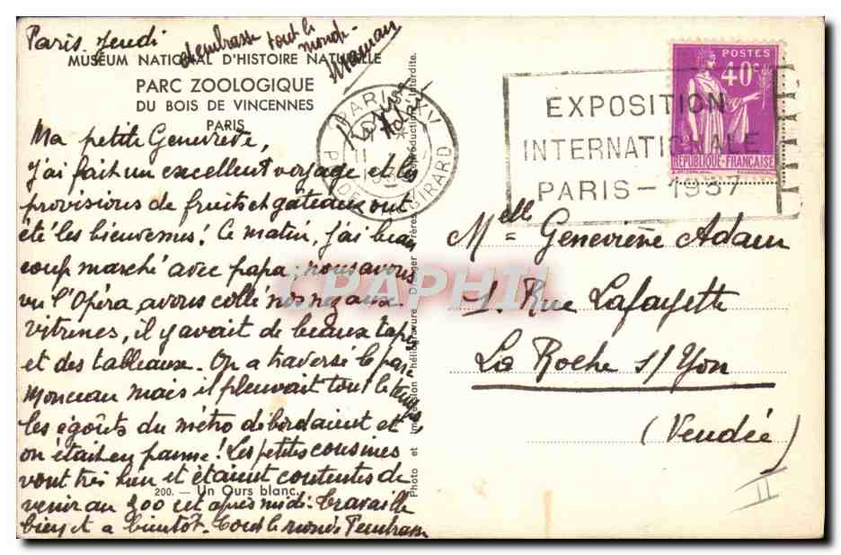 CPA Ours Parx zoologique du Bois de Vincennes Paris  — Rückseite