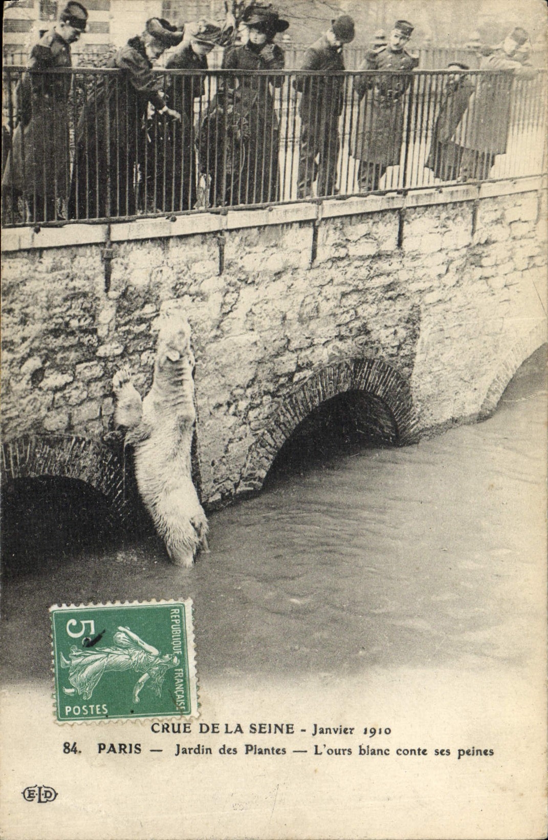 CPA Ours Crue de la Seine Janvier 1910 Paris Jardin des plantes L'ours blanc 
