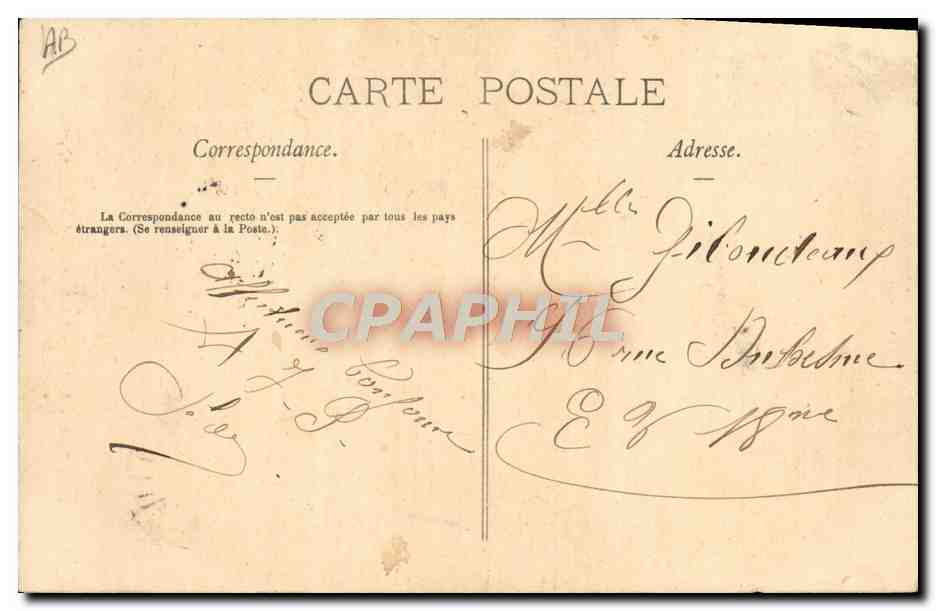 CPA Ours Paris Au jardin des plantes Les petits ours bruns Martin aine en vedette — Rückseite