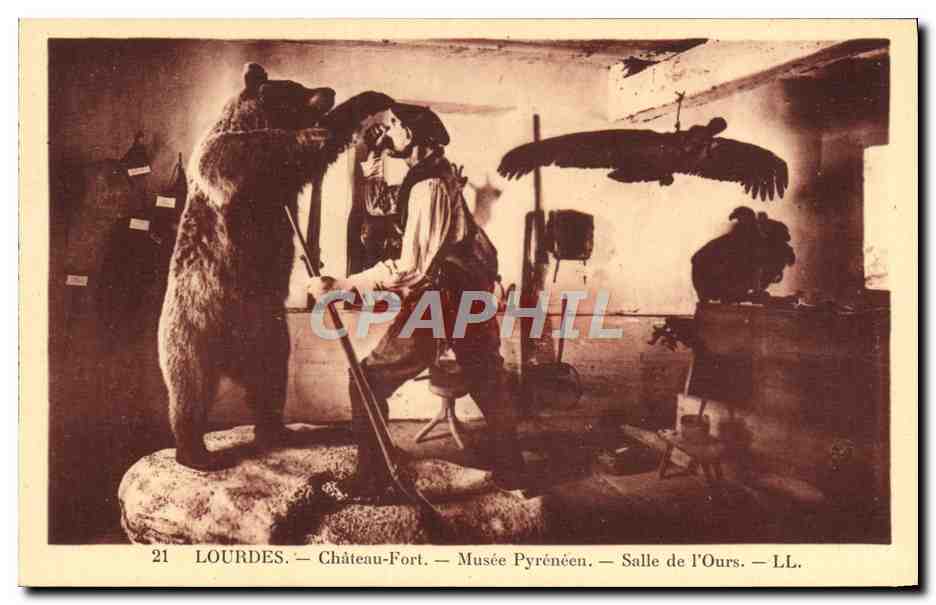 CPA Ours Lourdes Chateau fort Musee pyreneen Salle de l'ours