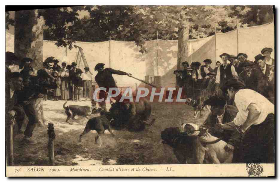 CPA Ours Salon 1904 Mondineu Combat d'ours et de chiens