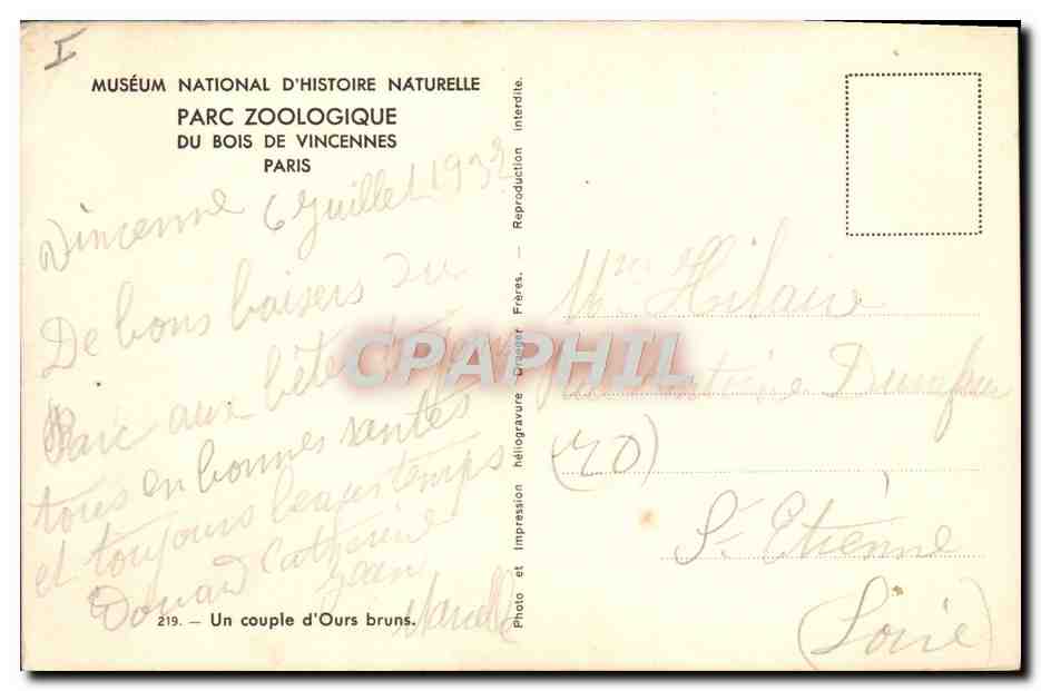 Un couple d'Ours bruns — Muséum national d'Histoire naturelle, Parc zoologique du Bois de Vincennes, Paris — Reverso