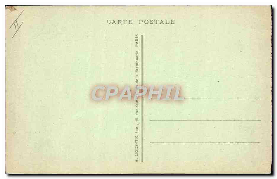 Ours blanc - Paris - Museum d'Histoire Naturelle — Reverso