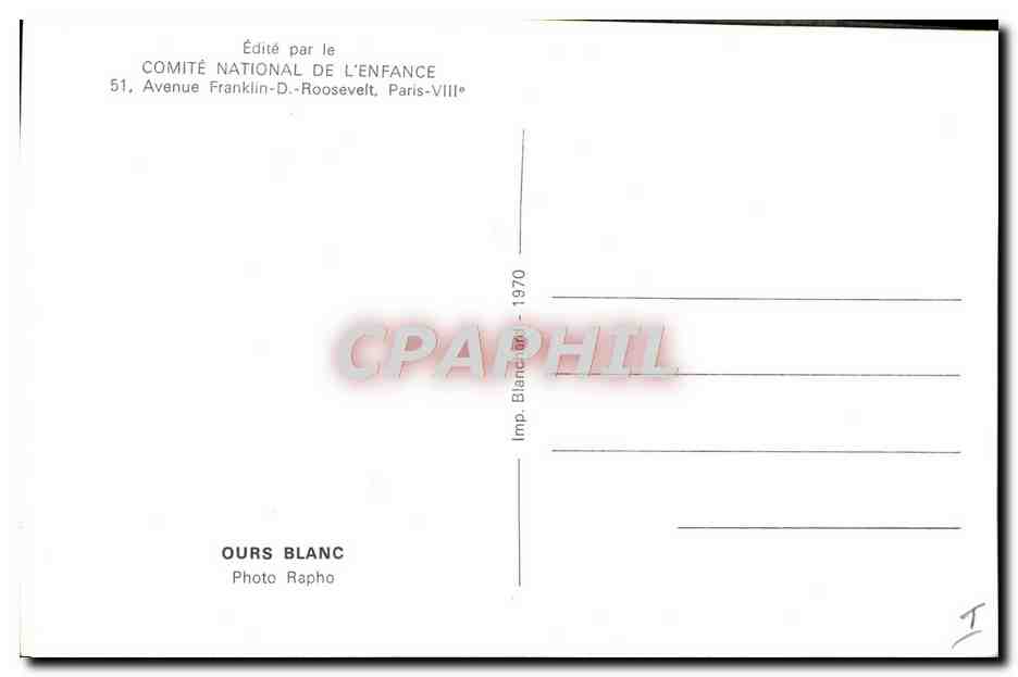 CPM Ours blanc  — Rückseite