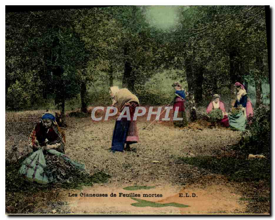 CPA Folklore Les glaneuses de feuilles mortes