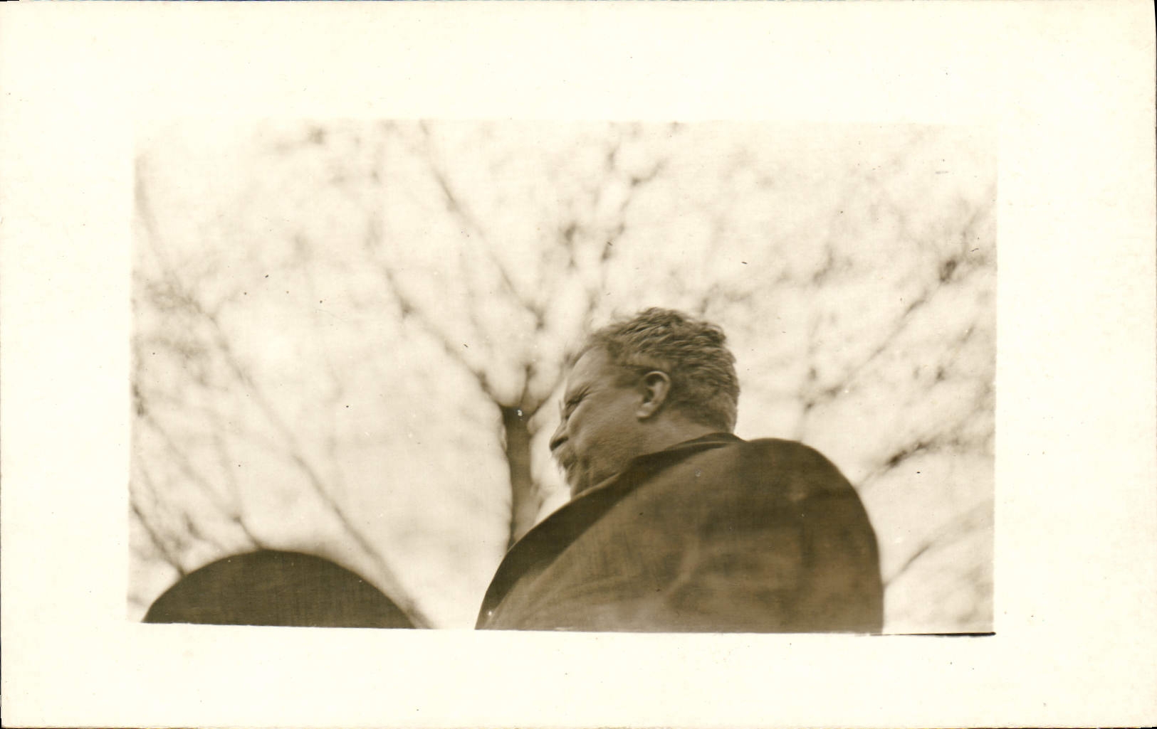 Portrait d'un homme — arrière-plan d'arbres dénudés — carte postale anonyme