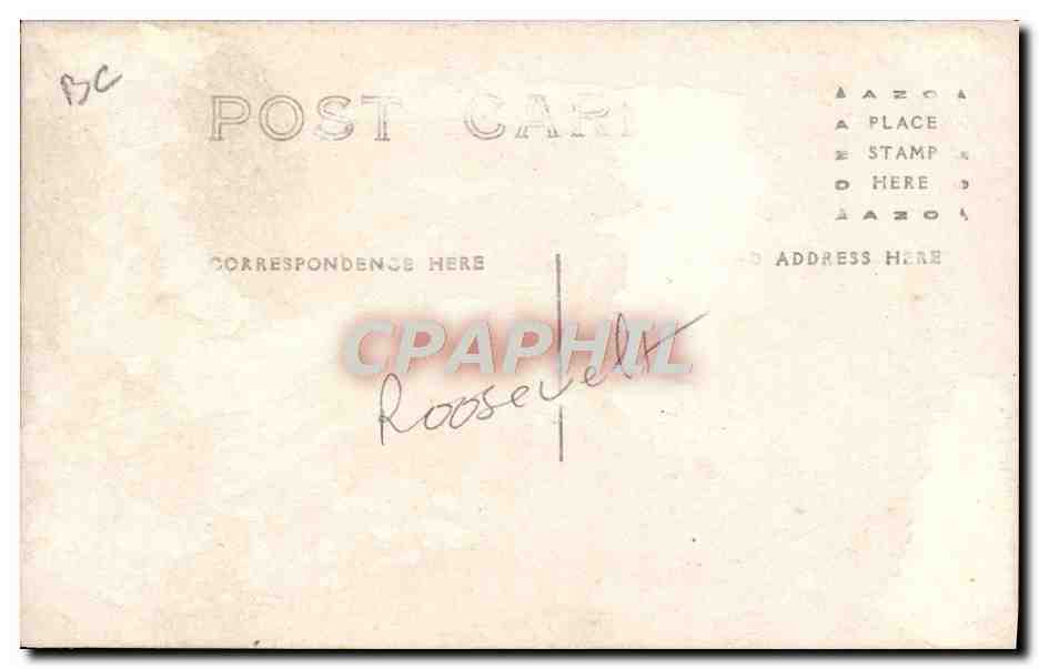 Portrait d'un homme — arrière-plan d'arbres dénudés — carte postale anonyme — Verso