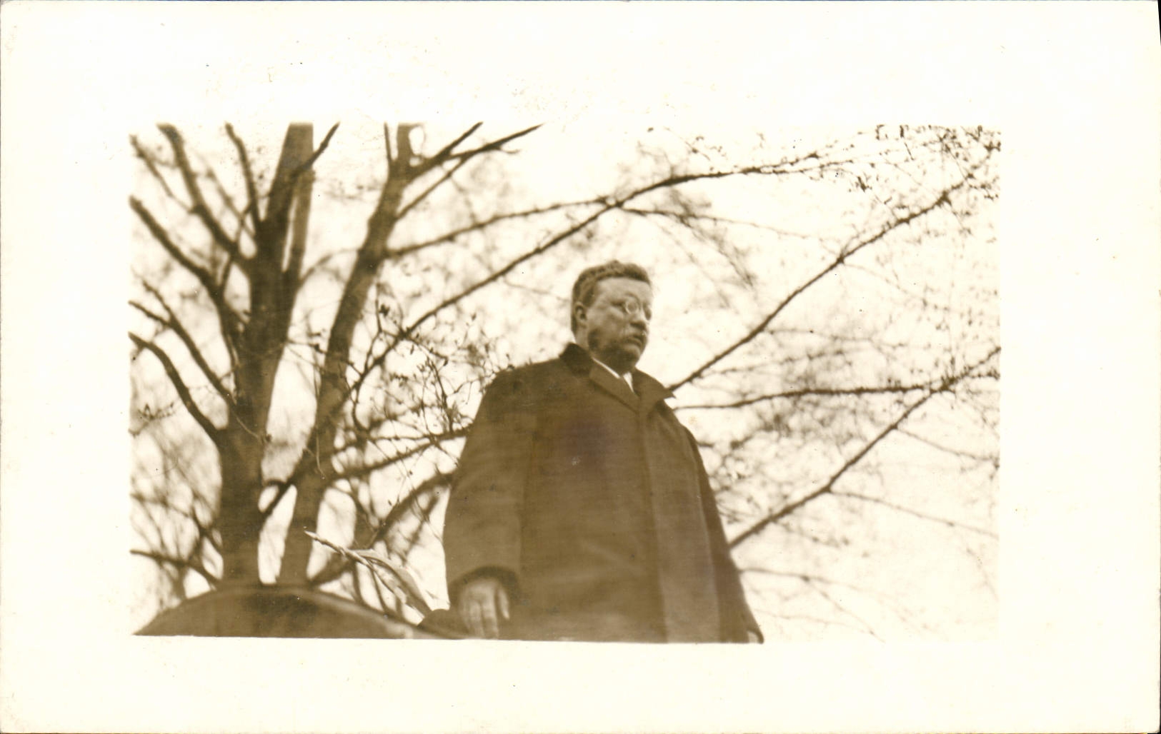 Homme en manteau — arrière-plan d'arbres dénudés — sans éditeur ni numéro visible