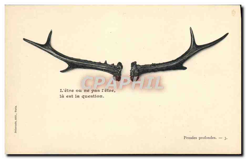 Cornes d'animal — Pensées profondes — Delaramo éd., Paris