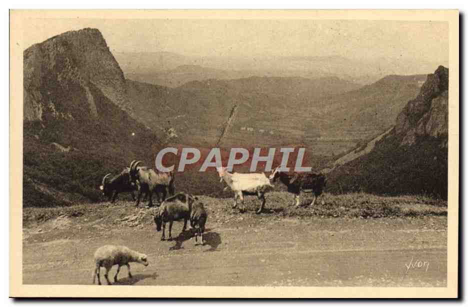 CPA Chevre Environs du Mont Dore Vallee de la Sioule et les Roches Sanadoire et Tuiliere 