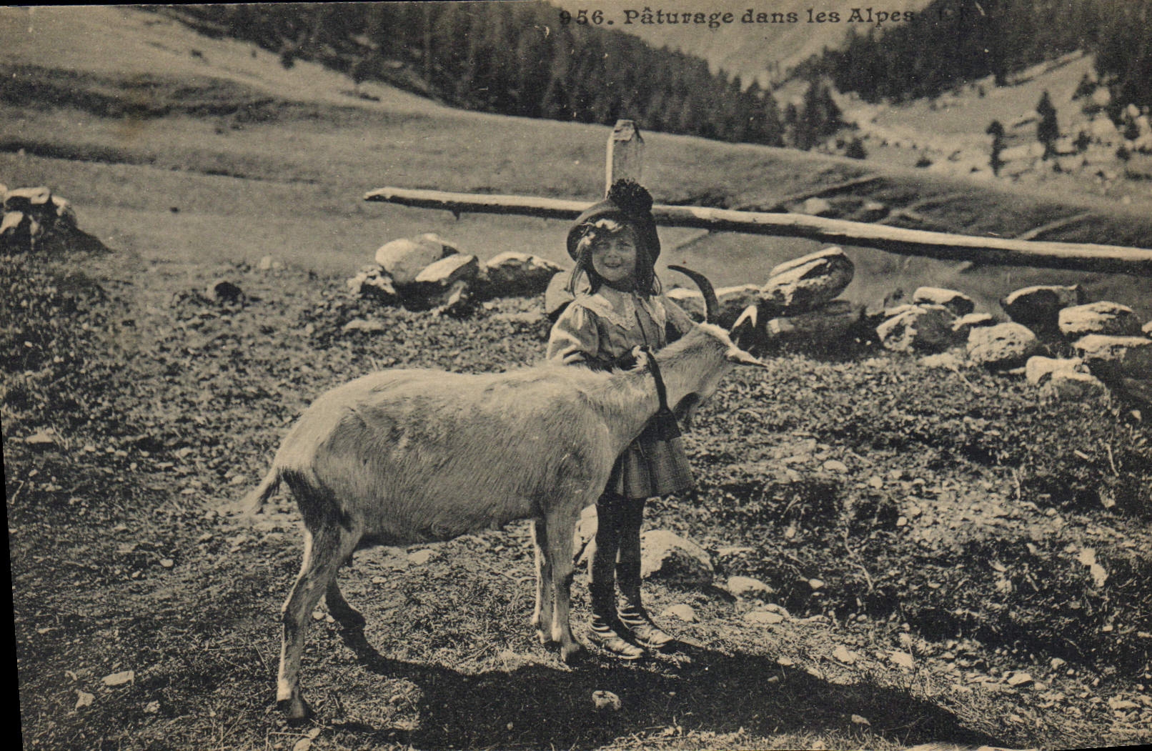 Pâturage dans les Alpes — Série 956 — Éditeur non identifié