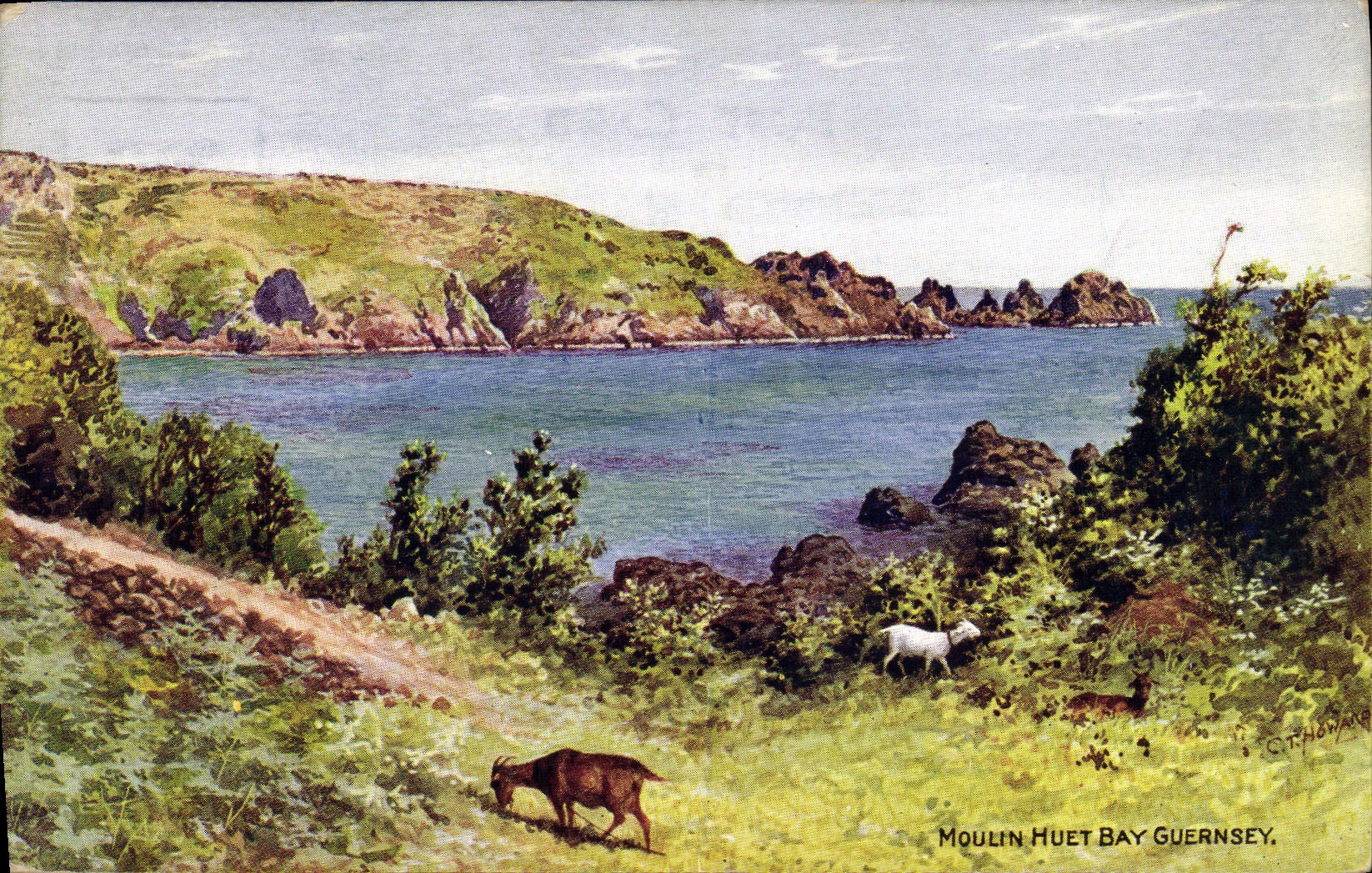 CPA Chevre Moulin Huet Bay Guernsey