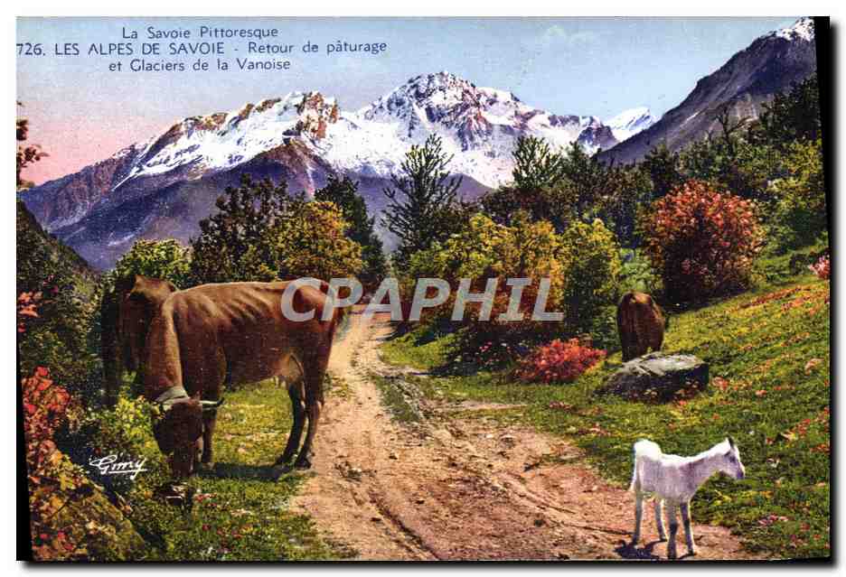 CPA Chevre Savoie Les Alpes de Savoie Retour de paturage et glaciers de la Vanoise Vache 