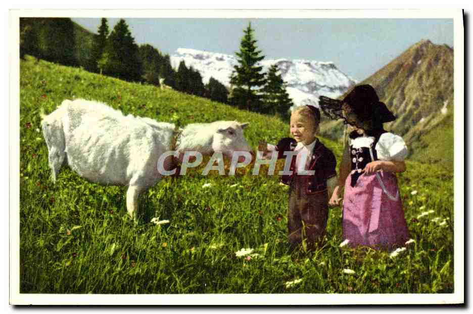 CPA Chevre Enfants 