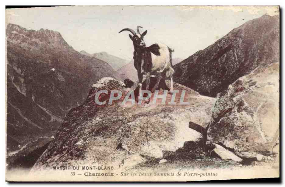 Massif du Mont-Blanc — Sur les hauts sommets de Pierre-pointue — Chamonix, n°53