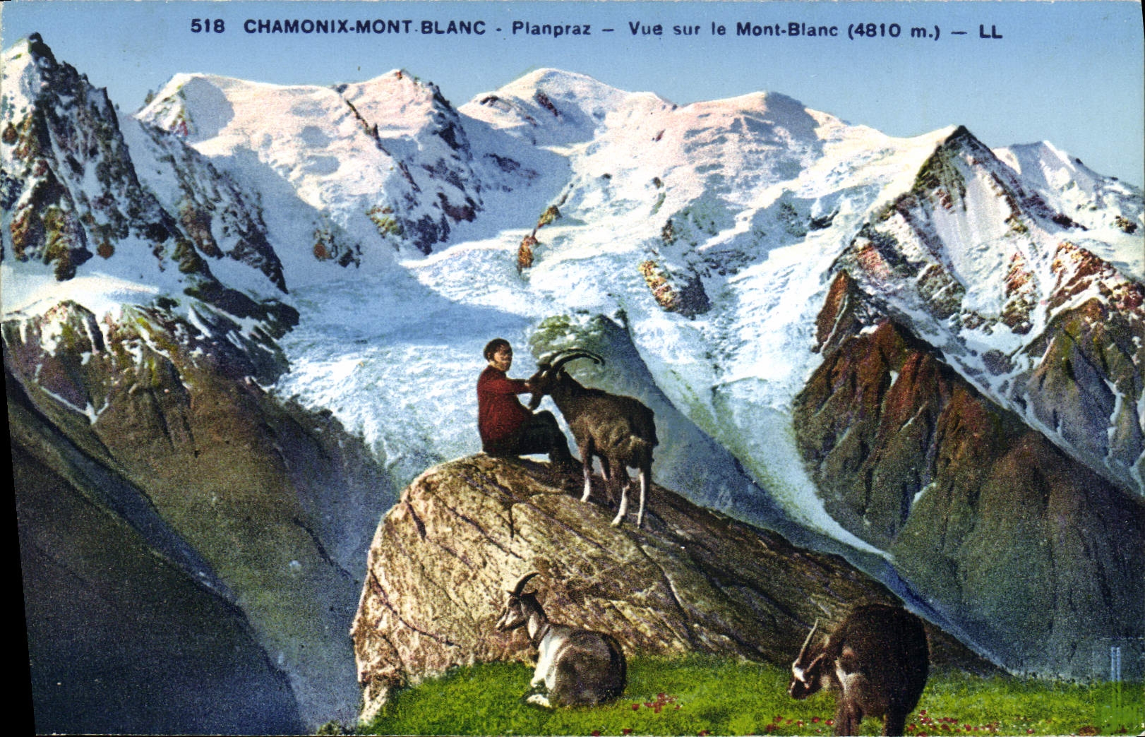 CPA Chevre Chamonix Mont Blanc Planpraz Vue sur le Mont Blanc 