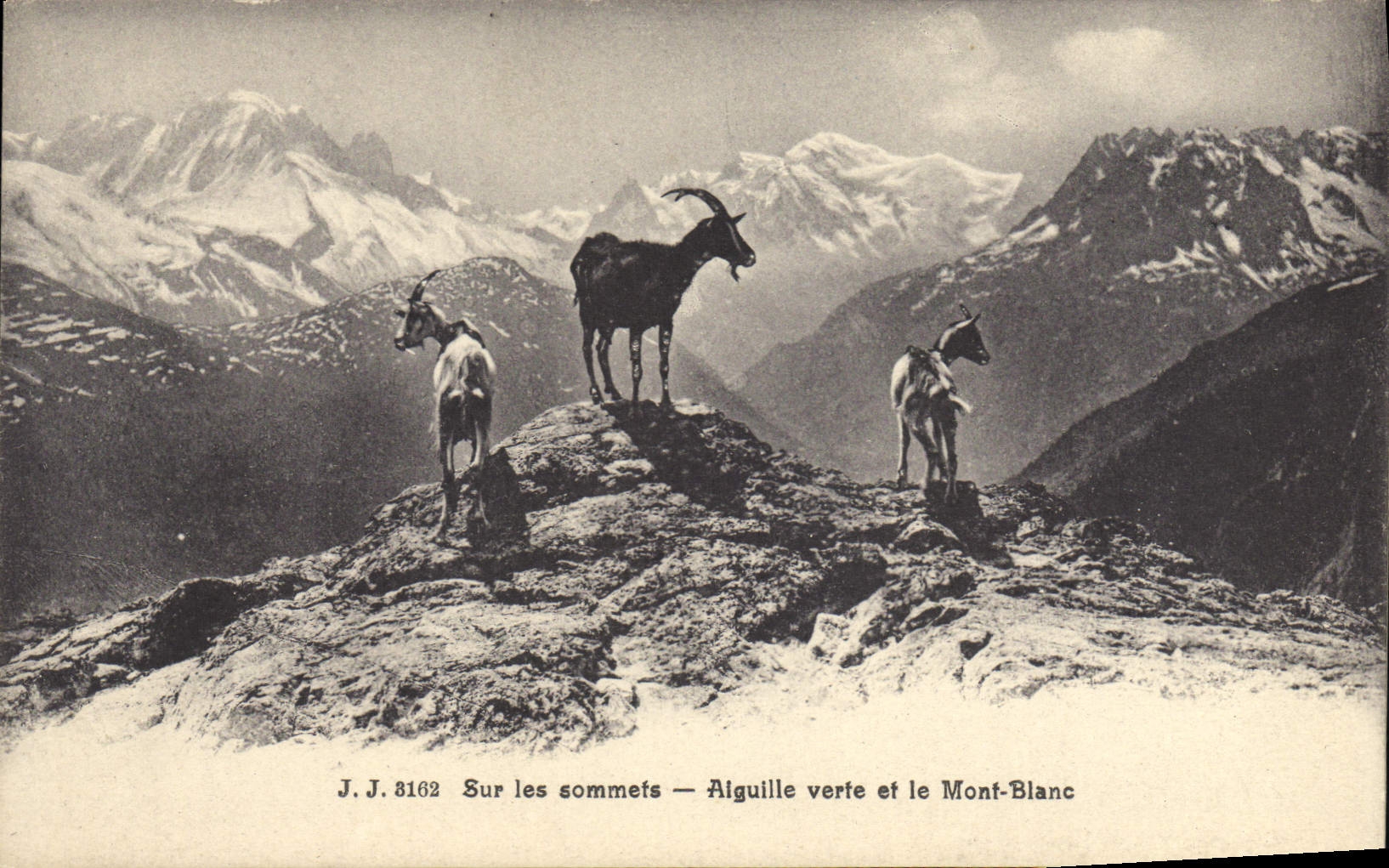 Sur les sommets — Aiguille verte et le Mont-Blanc — J.J. 8162
