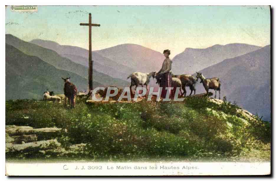 CPA Chevre Le matin dans les Hautes Alpes 
