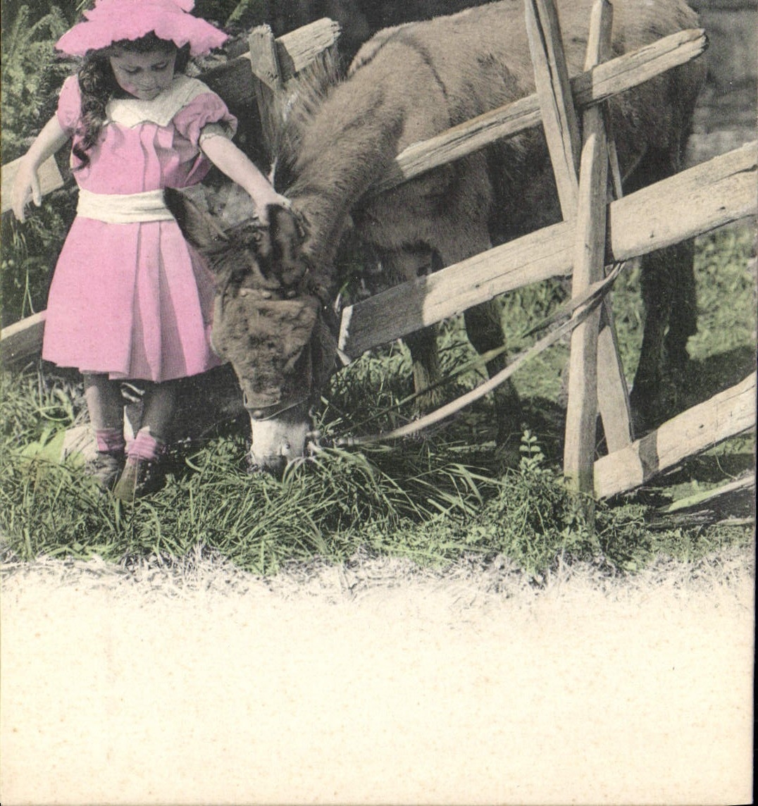 CPA Ane Mule Enfant