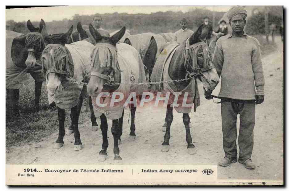 CPA Ane Mule Convoyeur de l'armee indienne Militaria