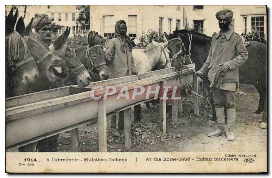 CPA Ane Mule A l'abreuvoir Muletiers indiens Militaria
