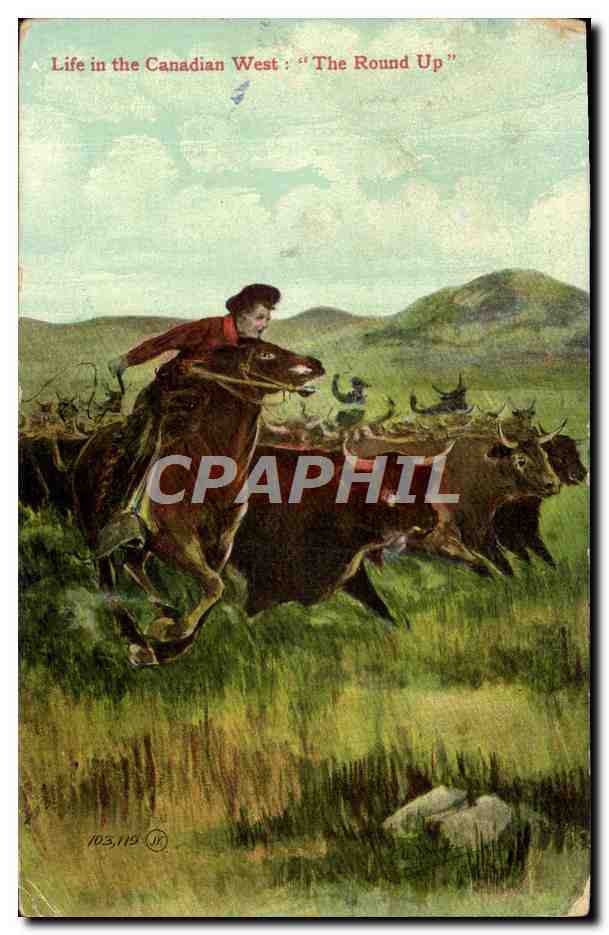 CPA Far West Cow Boy Life in the Canadian West Th round up
