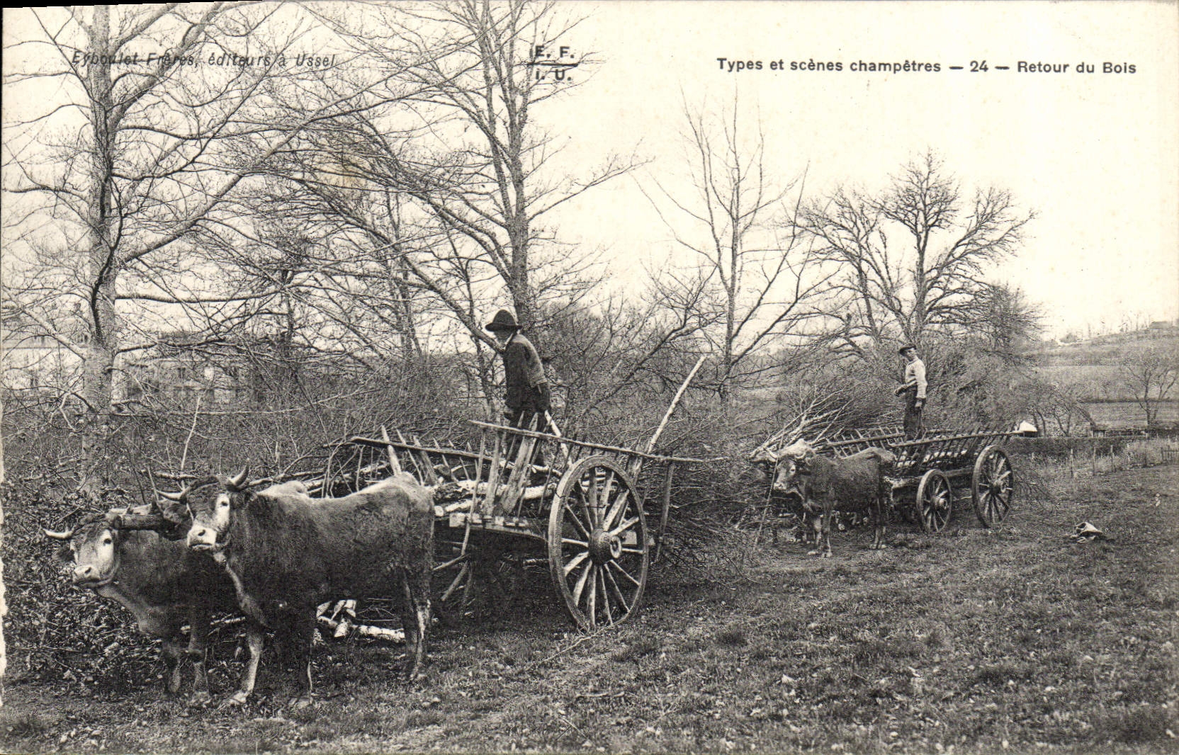CPA Folklore Retour du bas Vaches Attelage 
