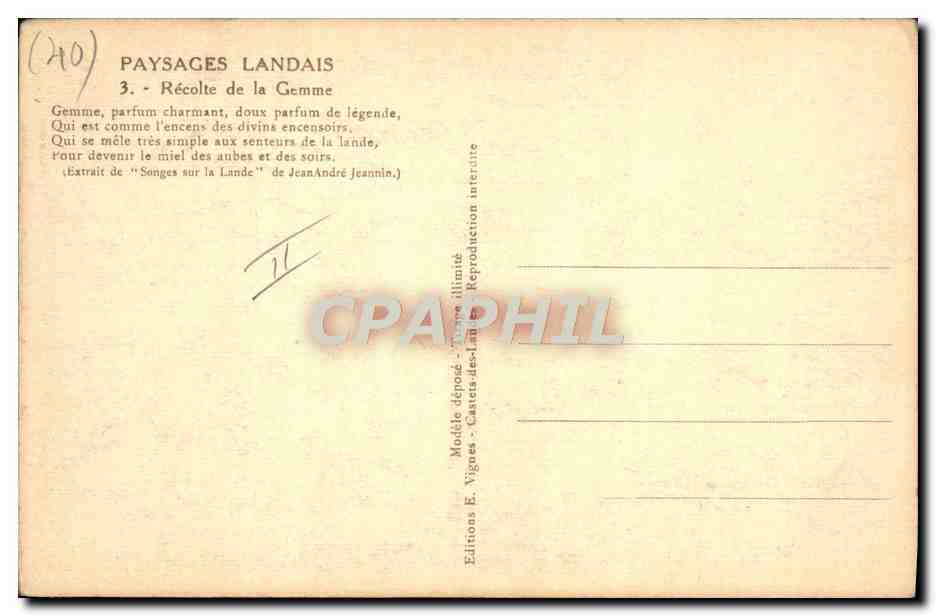 CPA Folklore Paysages landais Recolte de la gemme  — Rückseite
