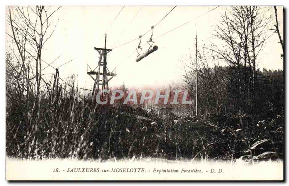 CPA Saulxures sur Moselotte Exploitation forestiere 
