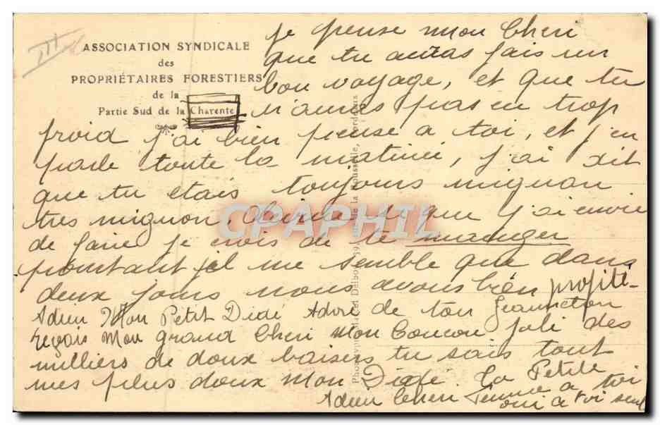Collecte de résine dans une forêt de pins — Yorbleed — Association Syndicale des Propriétaires Forestiers de la Partie Sud de la Charente — Verso