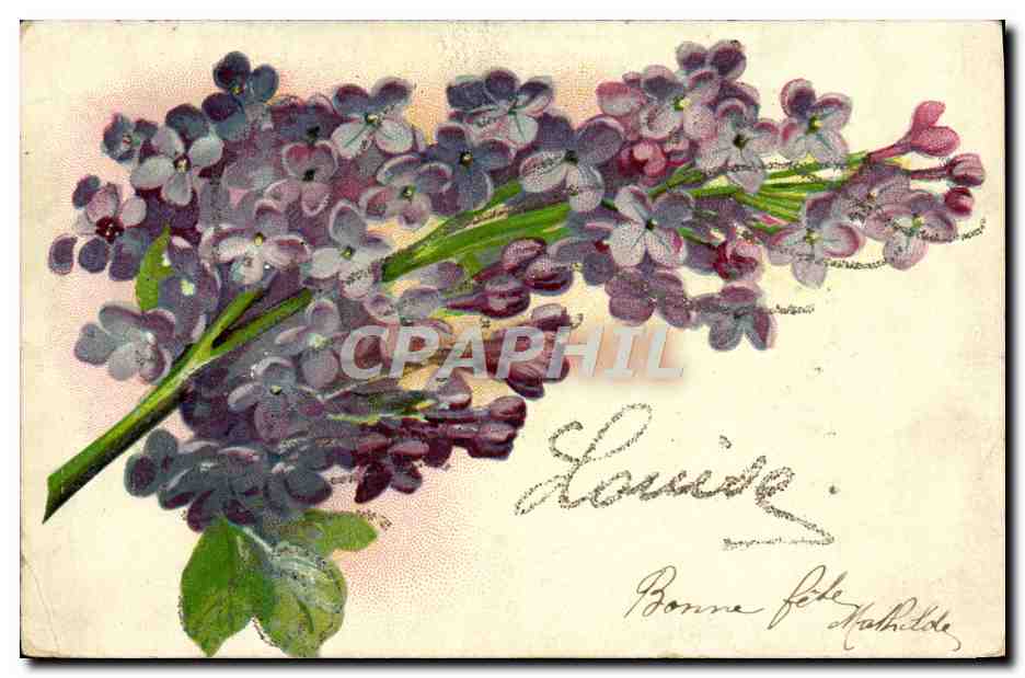 Bouquet de lilas — carte postale de vœux — série 2834, éditeur CPAPHIL