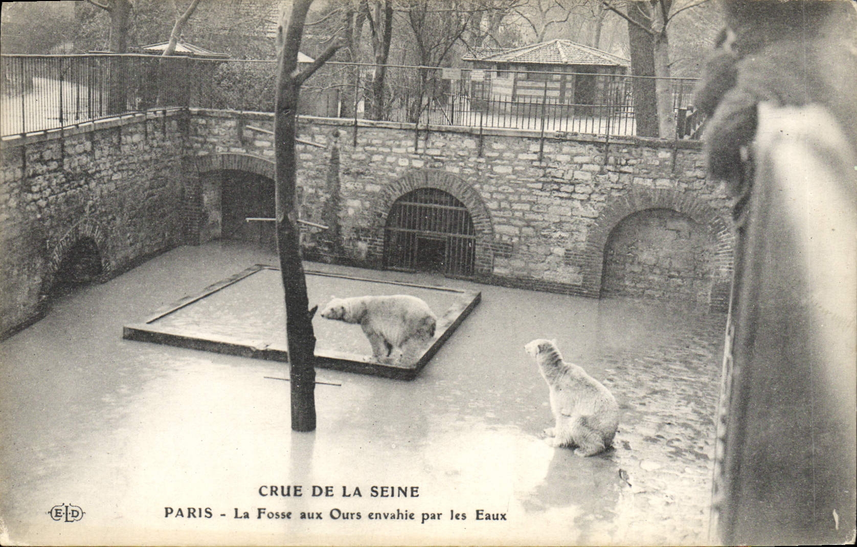 Paris - Fosse aux Ours envahie par les Eaux — E.D. (éditeur)