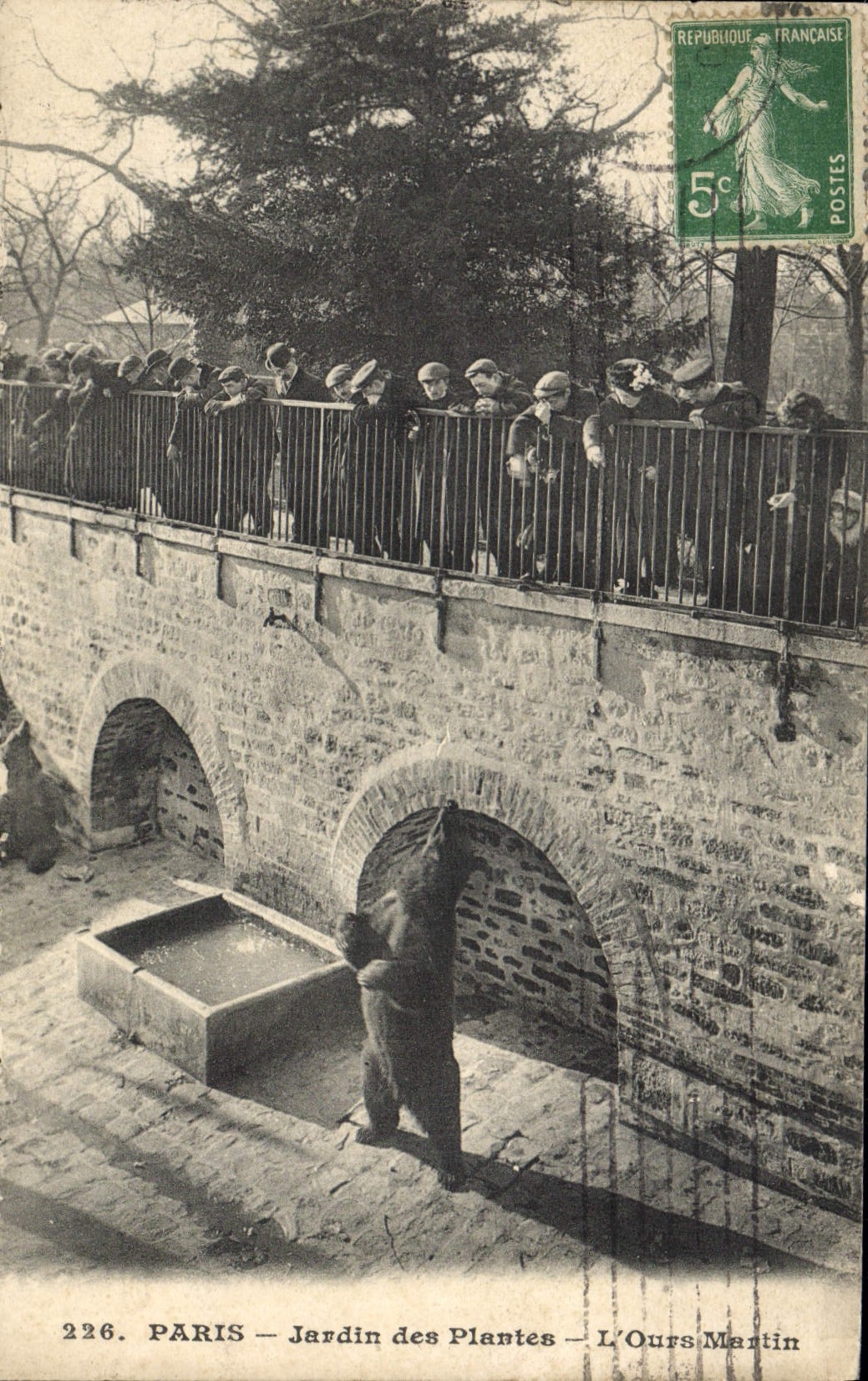 CPA Ours Paris Jardin des Plantes L'ours Martin 