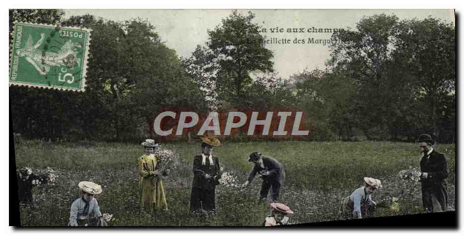 CPA Foklore La vie aux champs La cueillette des marguerites 