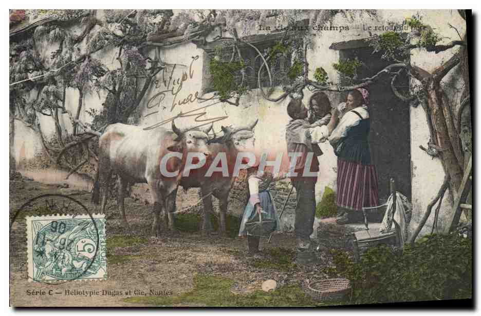CPA Foklore La vie aux champs Le retour du pere Boeufs Attelage 