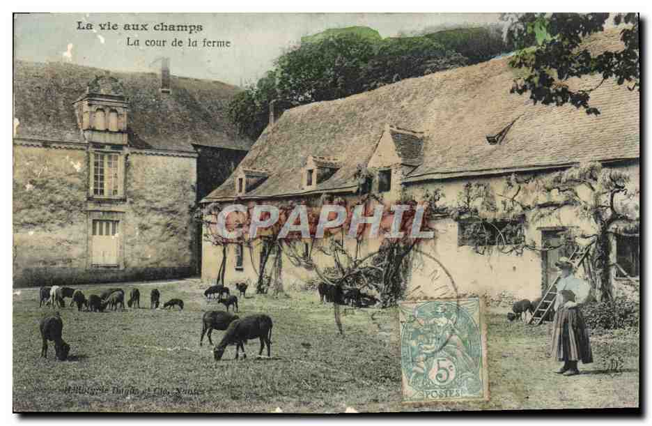 CPA Foklore La vie aux champs La cour de la ferme 