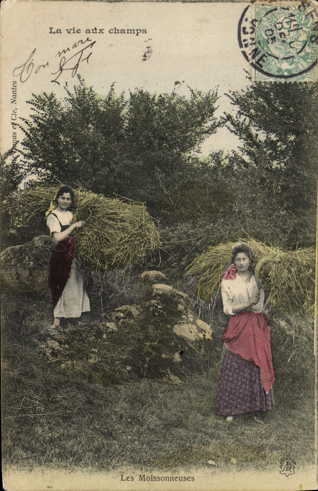 CPA Foklore La vie aux champs Les moissonneuses