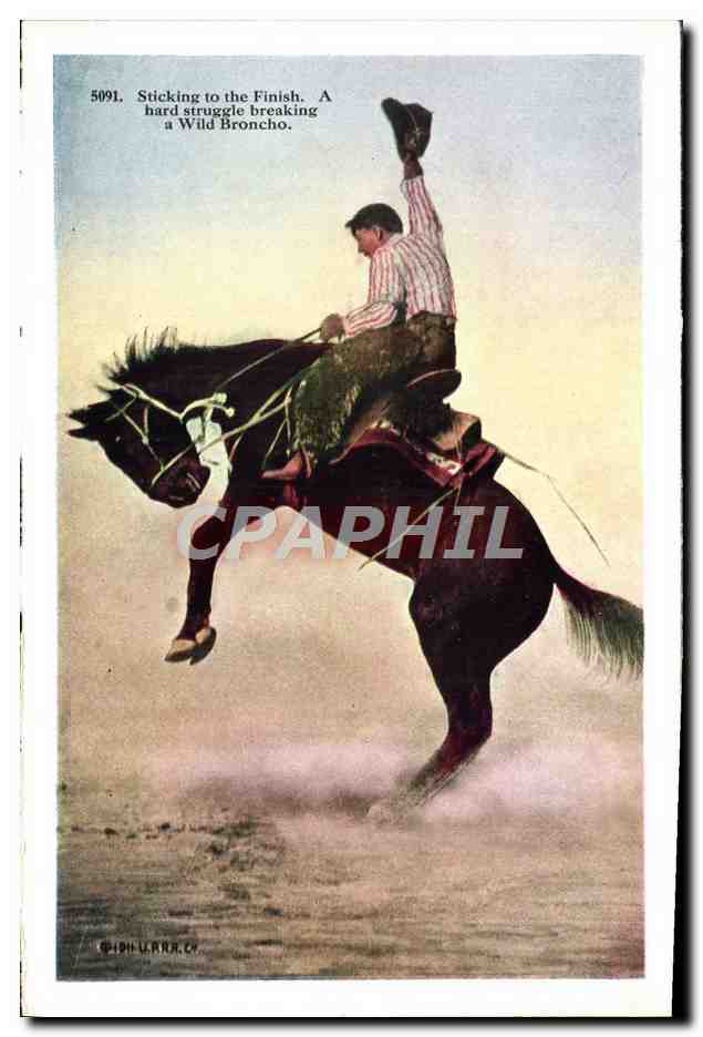 CPA Far West Cow Boy Indiens Rodeo — Rückseite