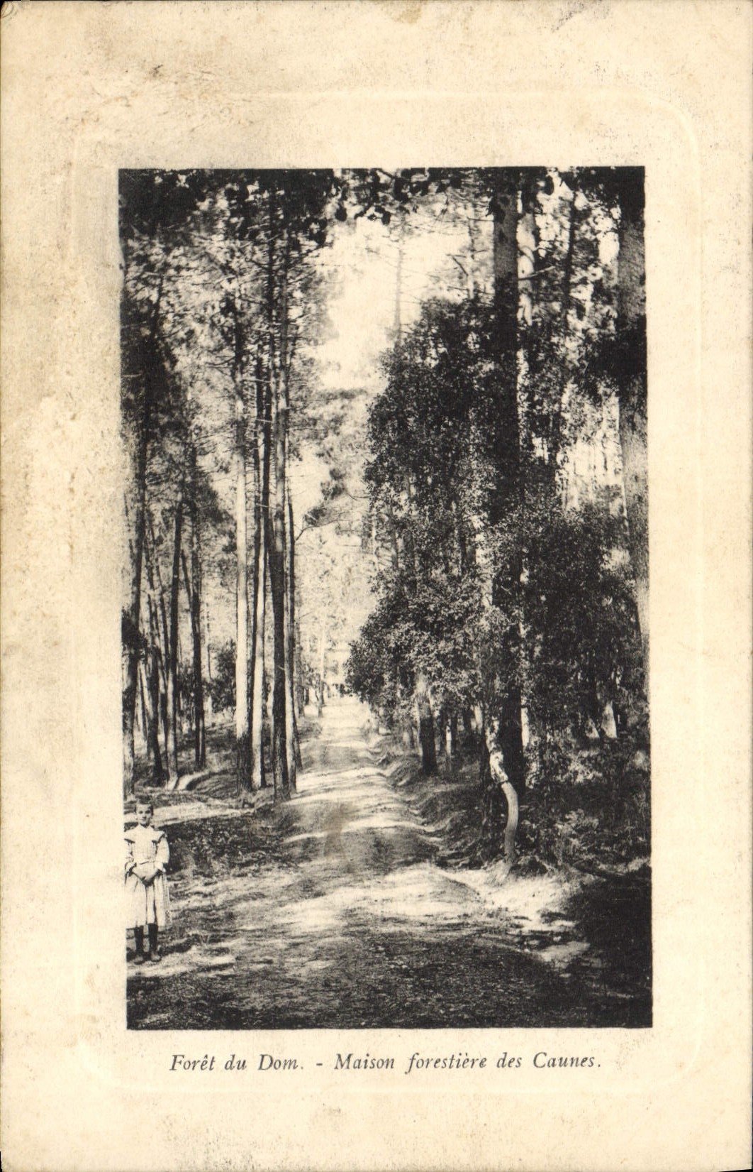 CPA Foret du Dom Maison forestiere des Caunes 