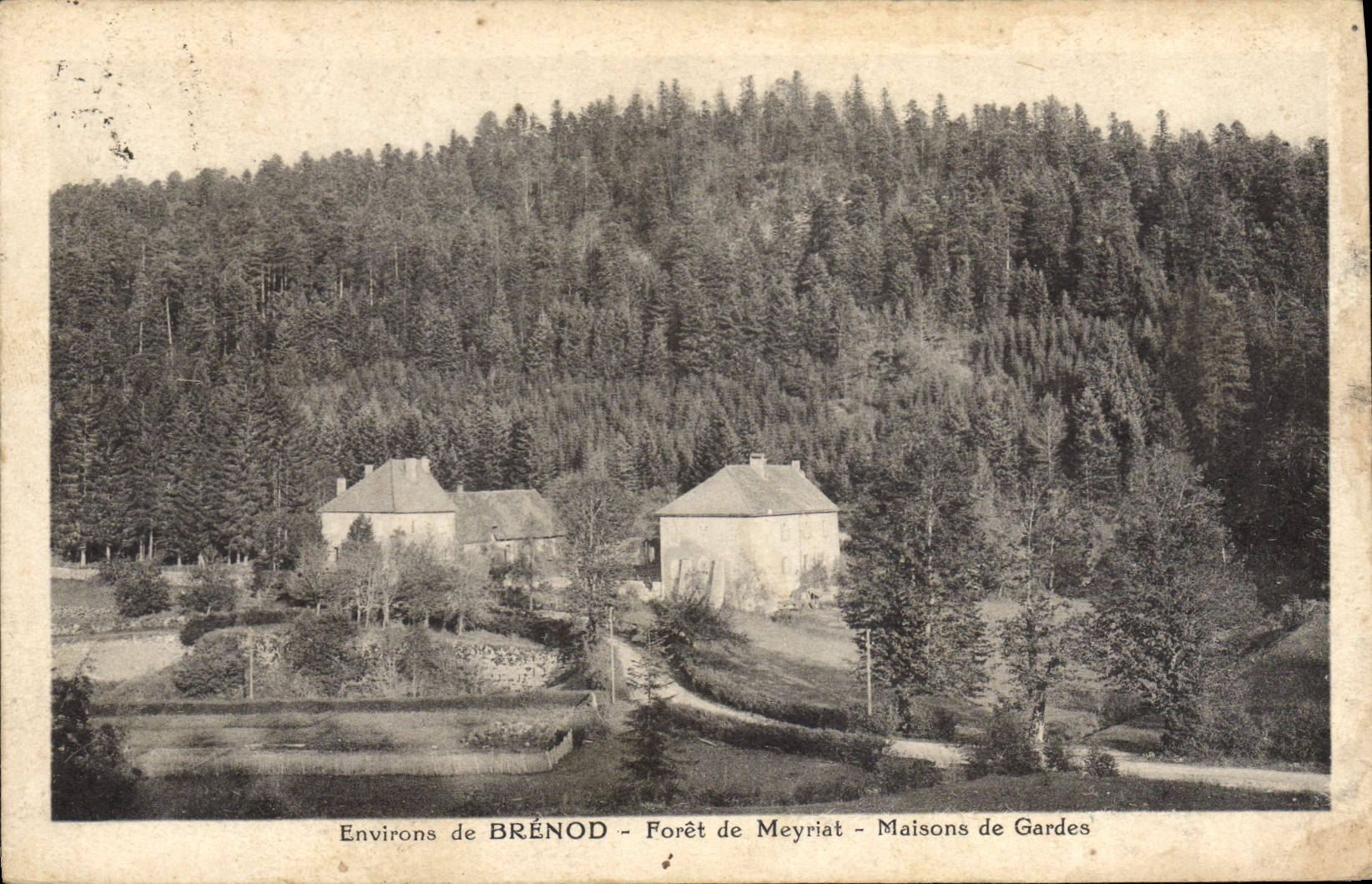 CPA Foret Environs de Brenod Foret de Meyriat Maisons des gardes 