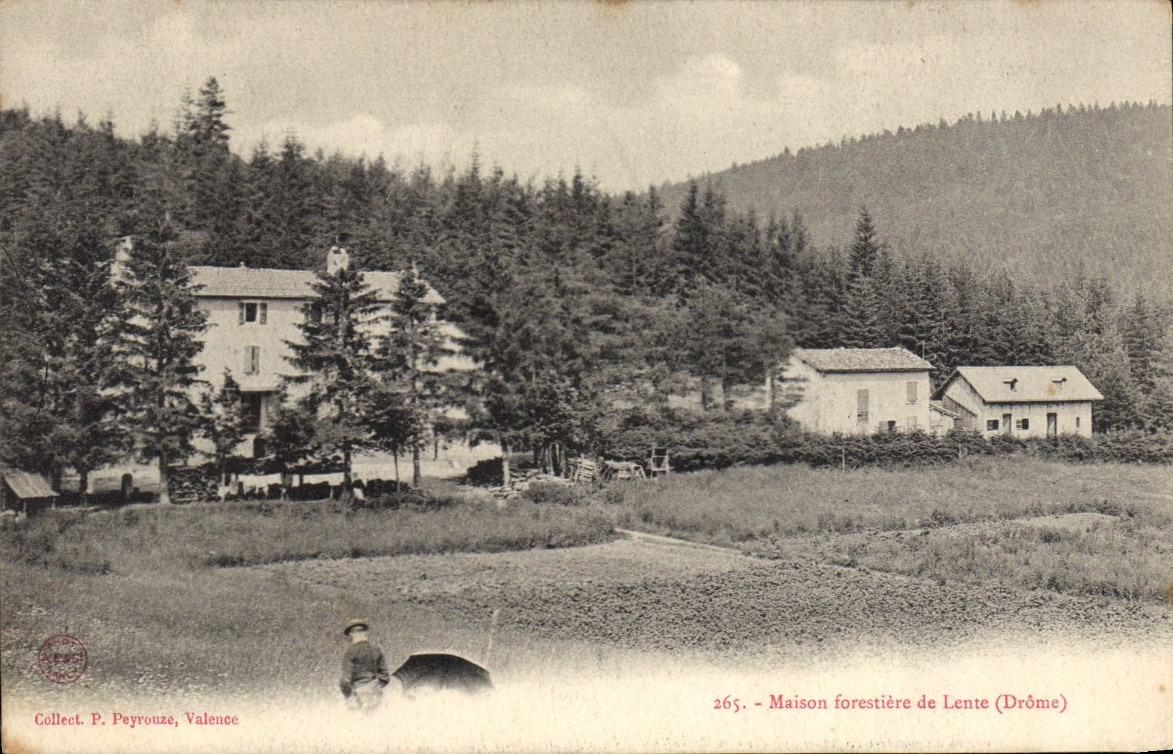 Maison forestière de Lente (Drôme) — Collect. P. Peyrouze, Valence — n° 265