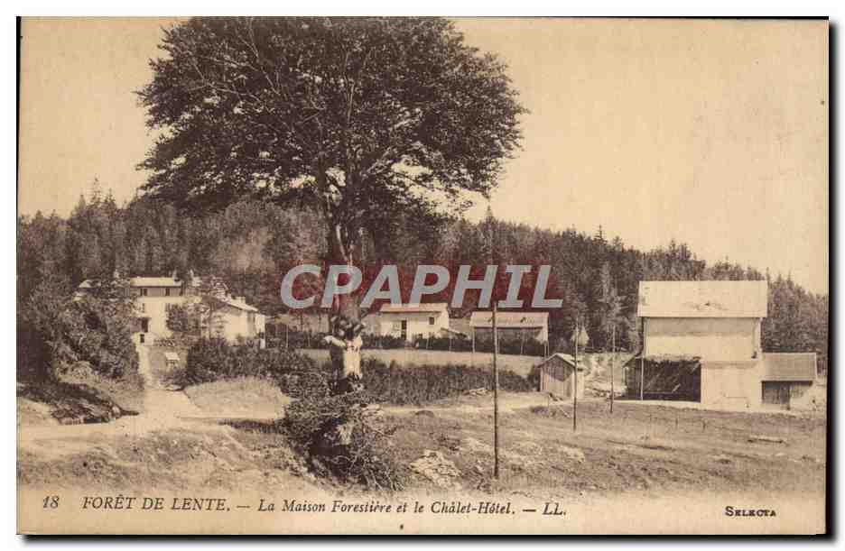 CPA Foret de Lente La Maison forestiere et le chalet hotel