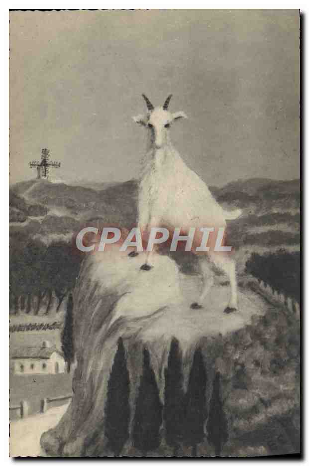 CPA Chevre Fontvieille La chevre de M Seguin 