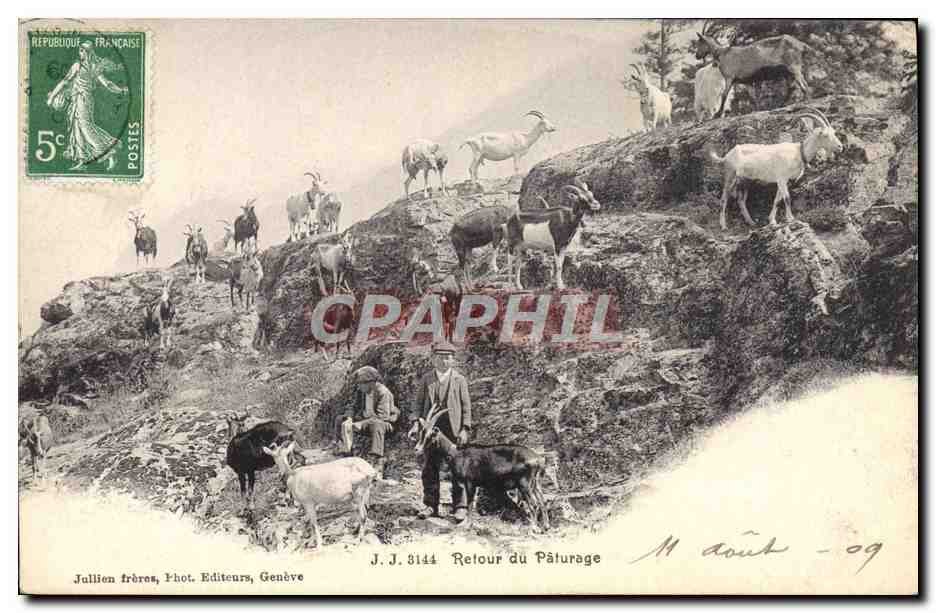 Retour du Pâturage — J.J. 3144 — Jullien frères, Phot. Editeurs, Genève