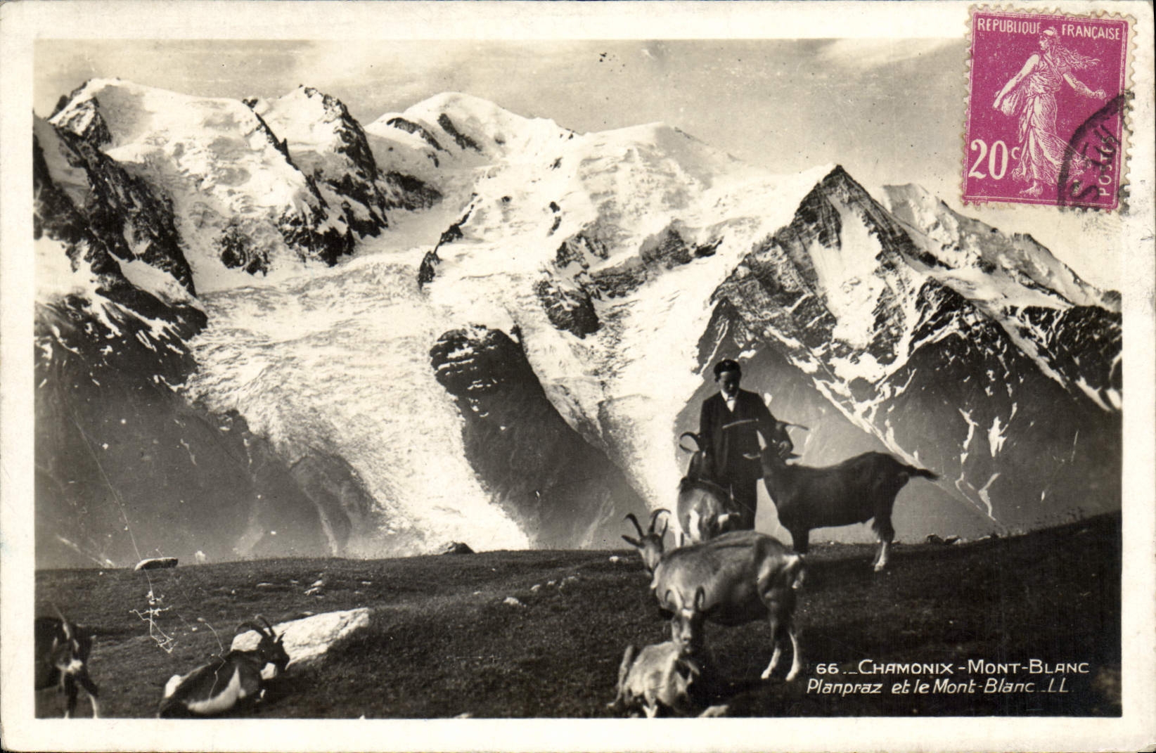 CPA Chevre Chamonix Mont Blanc Planpraz et le Mont Blanc 