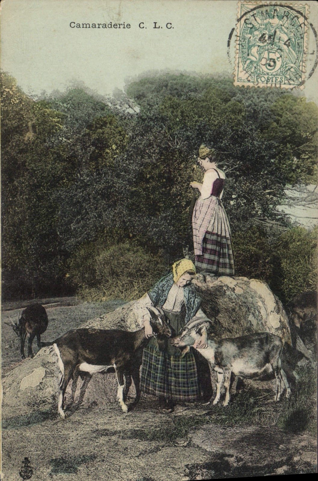 Femmes et chèvres — scène pastorale — Camaraderie C. L. C.